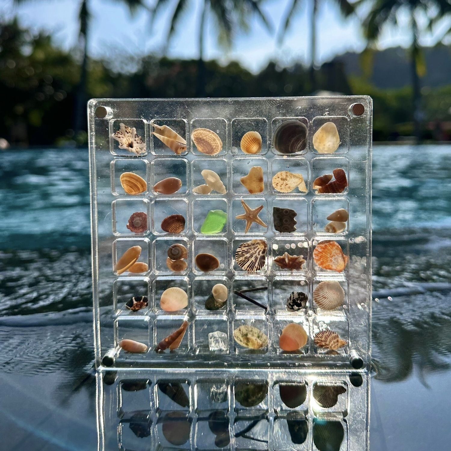 new creative acrylic transparent shell storage box seaside stone small shell collection magnetic force storage display box