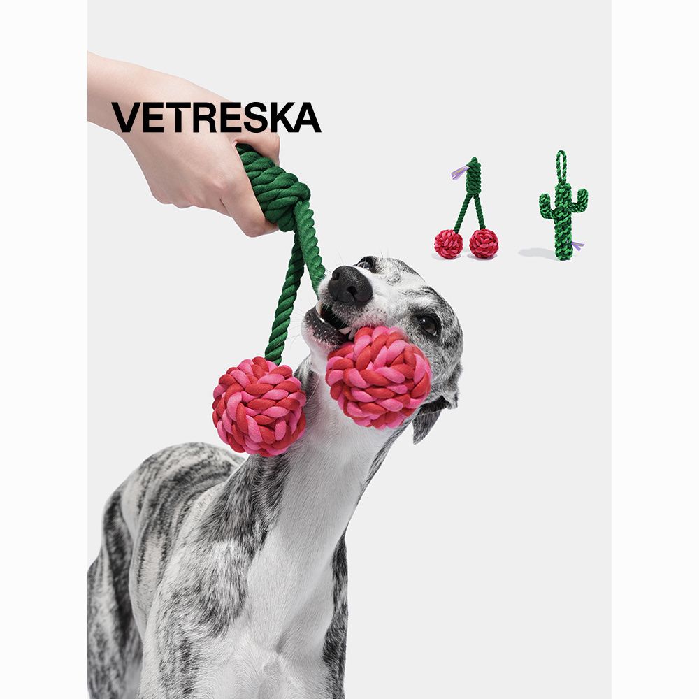 unstuck cherry cactus dog knot toy small and medium sized dog training self-hi molar long lasting pet toy