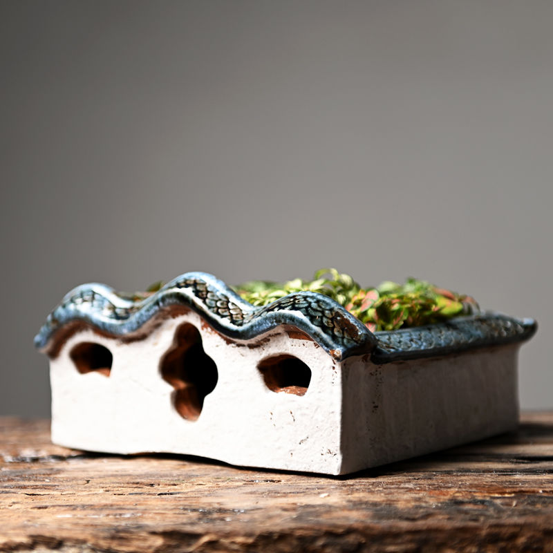 Asparagus Fern Succulent Flower Pot Ceramic Zen House Home Decoration Decoration Living Room Creative Micro Landscape Plant Pot
