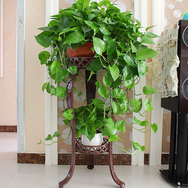 [Bold Thickening] Iron Multi-Layer Flower Stand Balcony Living Room Interior Chlorophytum Jardiniere Simple Scindapsus Shelf