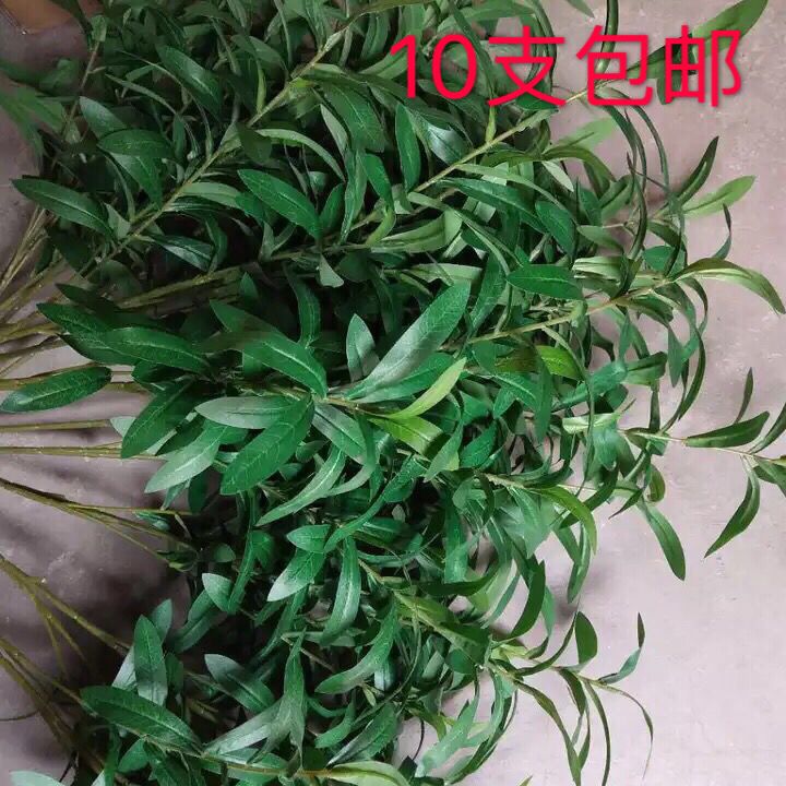 Olive Branch Leaf Simulation Wedding 6 Fork Mori Style Flower Artificial Green Leaf Decoration Props Hotel Wedding Ceremony Layout Scene