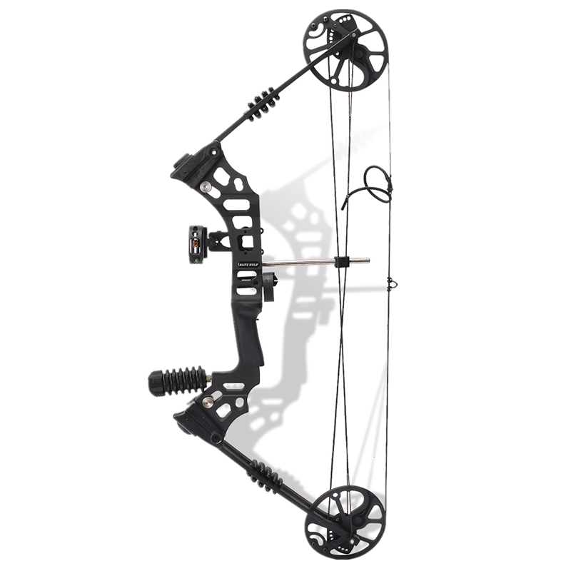 Product Image Gallery