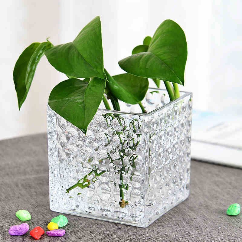 simple aquatic plant thickened glass square vat household living room vase desktop decoration transparent glass hydroponic vase