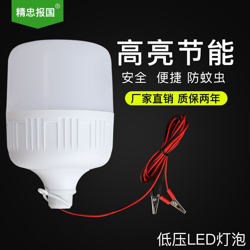 QIV Super Bright LED Bulb Night Market Lamp Outdoor Stall Light Night Market Lamp Electric Car Battery Light