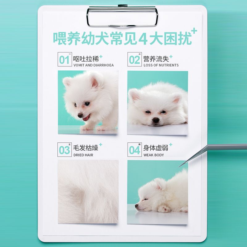 Dog Snacks Freeze-Dried Egg Yolk Puppy Training Reward Chicken Egg Yolk Powder Pomeranian Teddy Bichon Calcium Supplement Anti-Halitosis