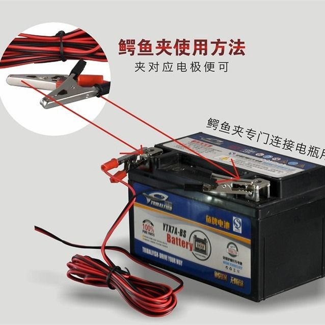 12vled Night Market Stall Light Tricycle Battery Car Battery Clip Sub-Line Product Plug 48 V60v Low-Voltage Light