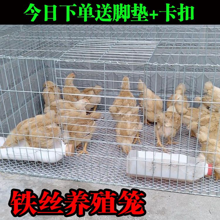 small chicken cage brood cage encryption bold chicken cage large breeding household chicken nest mountain chicken coop broaching iron wire cage