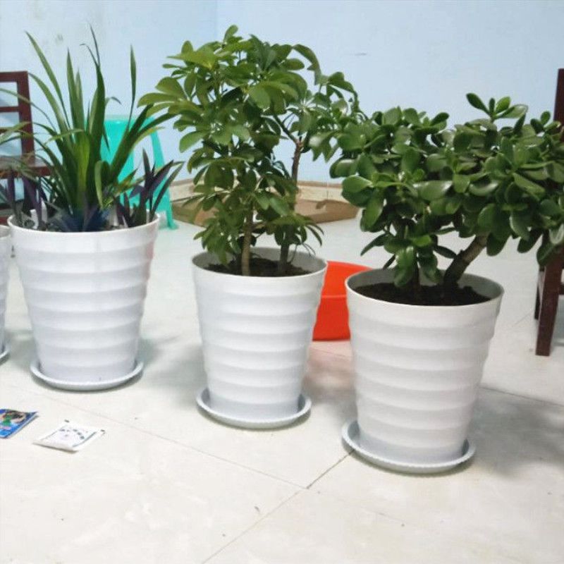 Extra Large Green Dill Flowerpot Large Green Plant Basin round Melamine Fruit Tree Basin Indoor Balcony Resin Plastic Flower Pot
