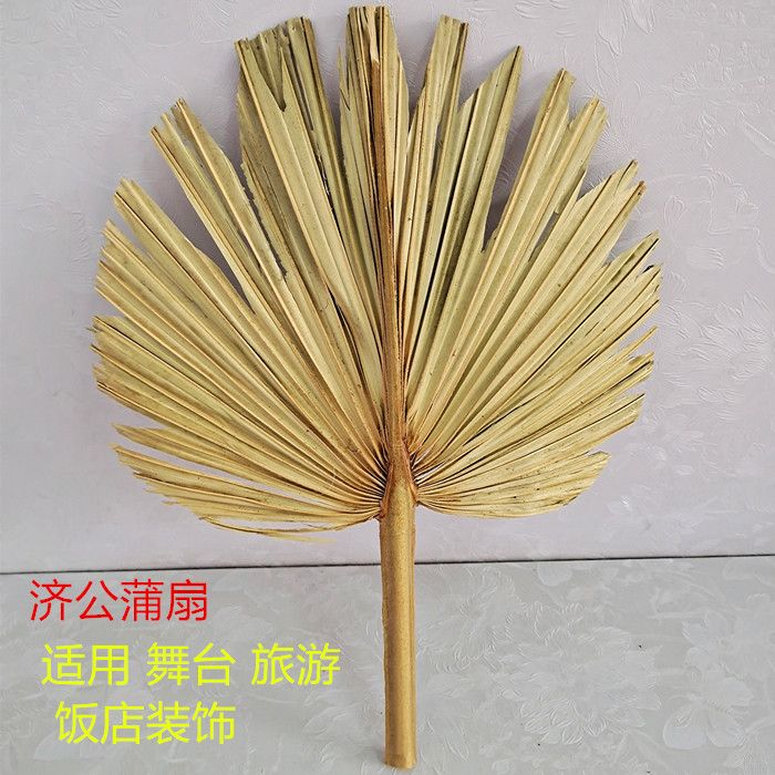 fan cattail leaf fan palm-leaf fan jigong fan palm-leaf fan old-fashioned handmade pampas grass woven summer cast leaves fan household