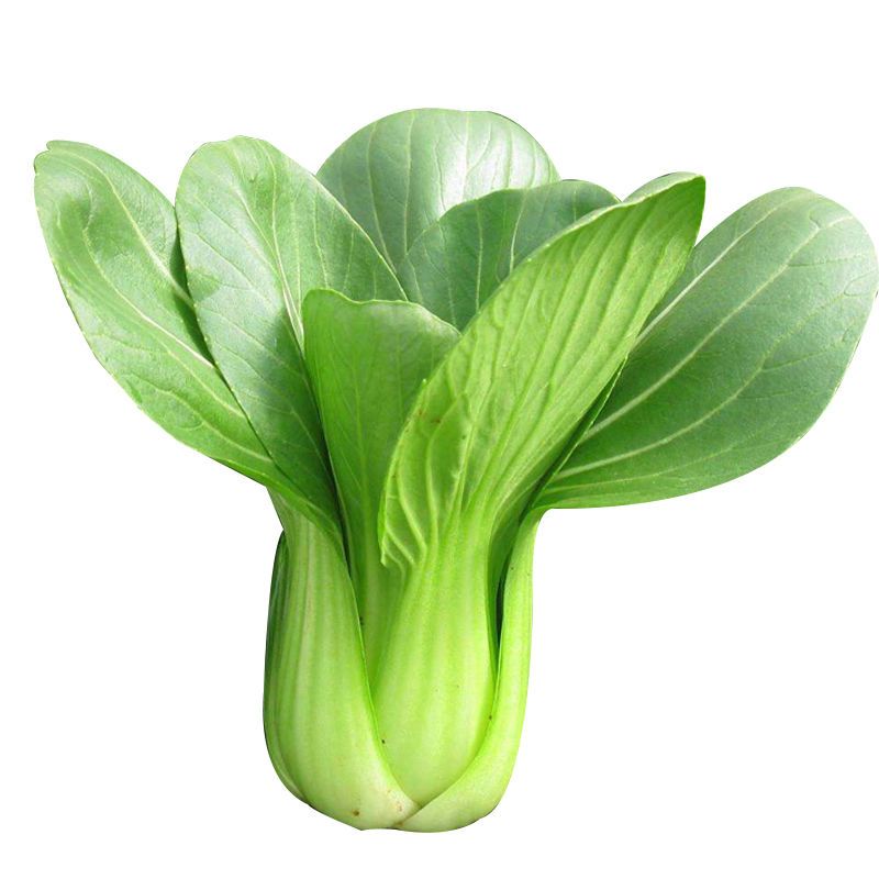 Cabbage Vegetable Seeds Short Foot Shanghai Green Seeds Shoshe Rapeseed Vegetable Vegetable Seeds Rape Balcony Gardening Four Seasons Broadcast