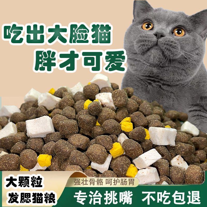 freeze-dried  food increase fat hair chin into  kittens milk pastry american and british short fish meat low oil low salt natural  food  staple food