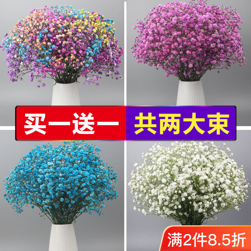 starry sky dried flowers bouquet living room decorations light luxury dried flower real flower decorative ornaments fresh wholesale yunnan natural style vase