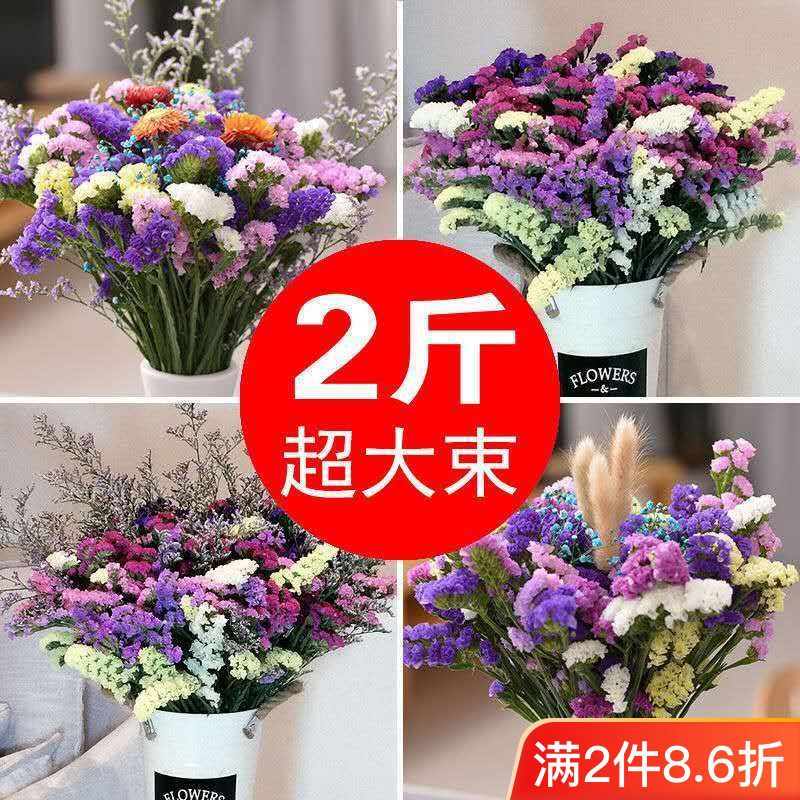 yunnan natural air-dried dried flowers bouquet myosotis sylvatica real flower decoration decoration living room large bouquet flower arrangement starry sky wholesale