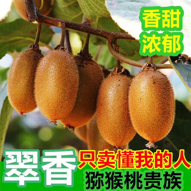 翠香陕西绿心猕猴桃当季新鲜水果整箱孕妇非江山奇异果210斤