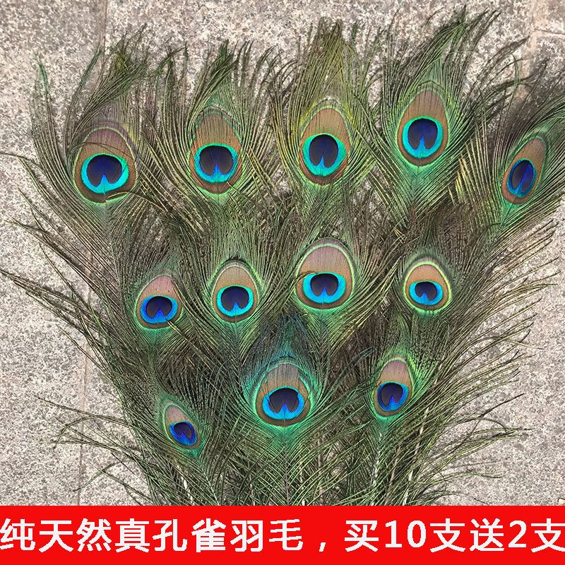 natural real peacock feather feather big eyes living room decoration vase flower arrangement decoration diy accessories peacock fur