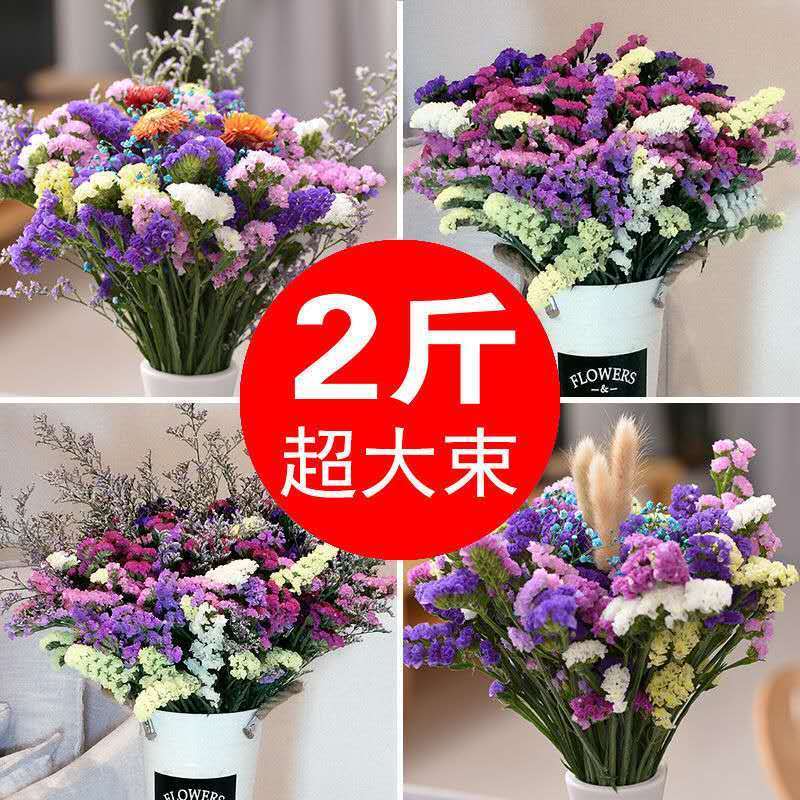 yunnan natural air-dried dried flowers bouquet myosotis sylvatica real flower decoration decoration living room large bouquet flower arrangement starry sky wholesale