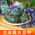 【河套贝贝小南瓜】正宗当季新鲜蔬菜宝宝辅食粉糯甜贝贝南瓜