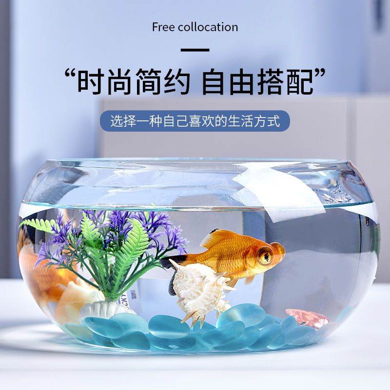 office small fish tank thick transparent glass turtle jar living room home desktop round mini small fish globe