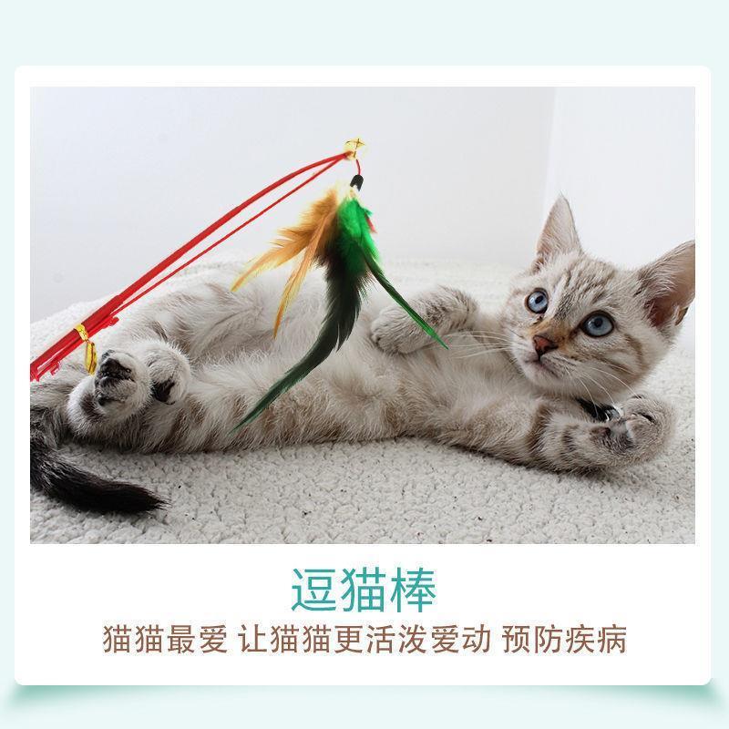 feather  teaser  toy -reted products  teaser toy  toy pet supplies  toys since hi toy kitten  toy