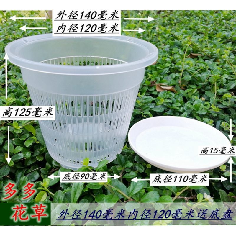 Root-Controlling Flower Pot for Phalaenopsis Dendrobium round Plastic Breathable Orchid Cattlean Water Planting Basket Rooting Pot
