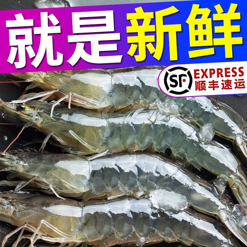 特价中新鲜大虾超大虾鲜活新鲜冷冻海鲜深海虾青虾冻虾整箱