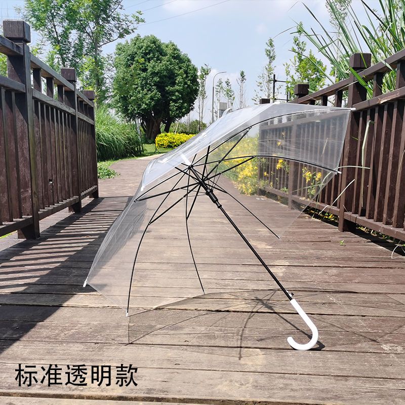 Transparent Umbrella Frosted Men and Women Ins Online Influencer Cute Semi-automatic Straight Handle Student Children Fresh Umbrella Wholesale