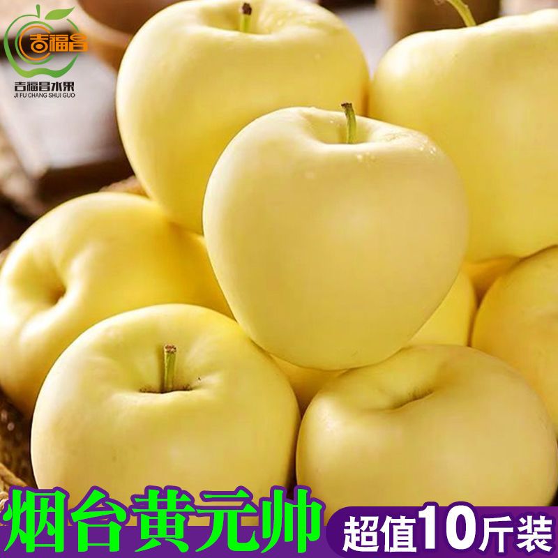 烟台黄元帅苹果水果新鲜黄金帅粉苹果黄香蕉苹果10斤