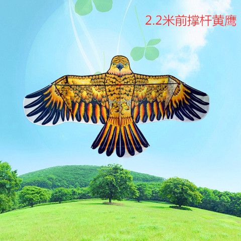 First Jackstay Eagle Simulation Bird Repellent Kite Children 6 to 12 Years Old Children Adult Beginner Breeze Easy to Fly with Line