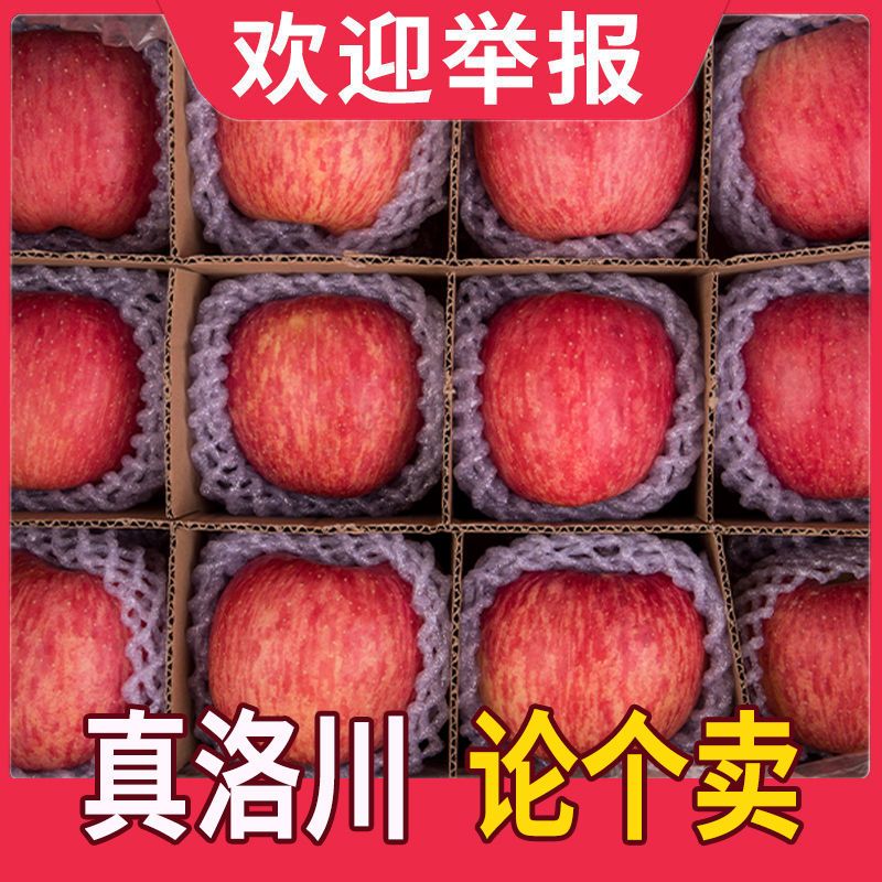 洛川苹果新鲜脆甜正宗陕西红富士洛川苹果当季整一箱3510斤