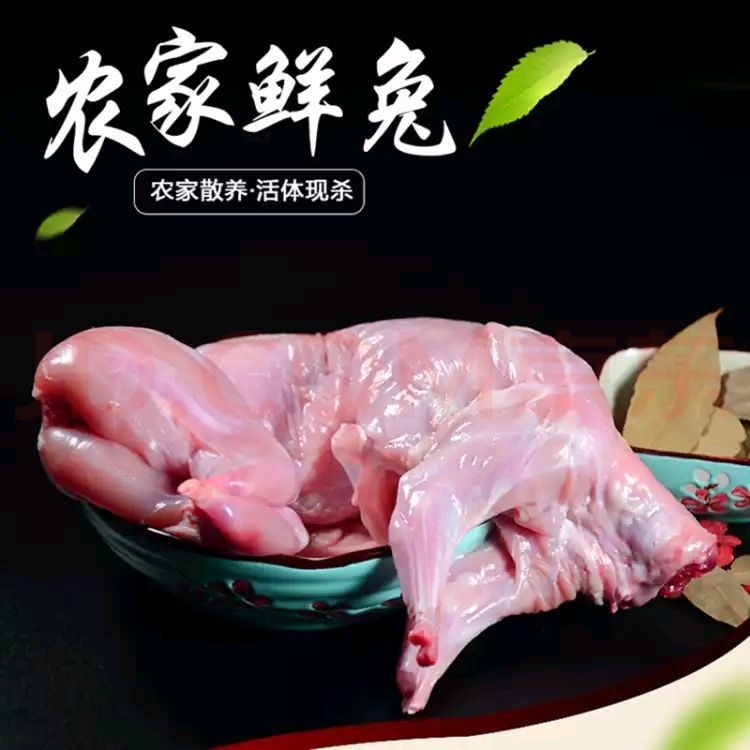 新鲜兔肉现杀整只生鲜兔子肉兔肉批发冷冻家养兔带头