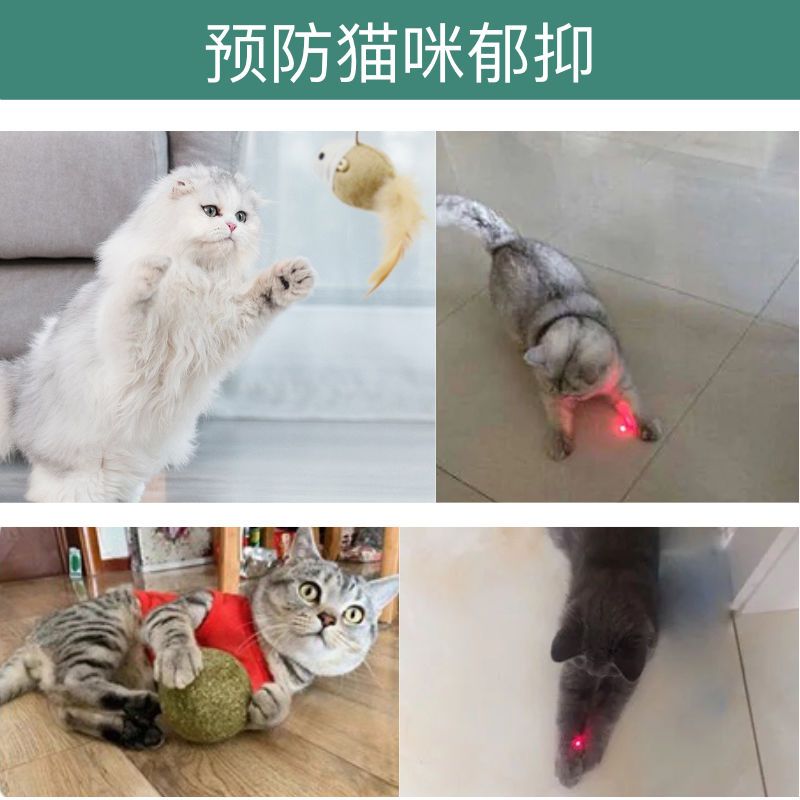 Cat Toy Cat Teaser Play Self-Hi Relieving Stuffy Funny Cat Artifact Laser Pen Catnip Ball Kitten Cat Toy