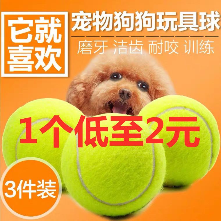 dog toy ball bite-resistant puppy dog puppy outdoor ball large dog malinois molar elastic pet dog training ball