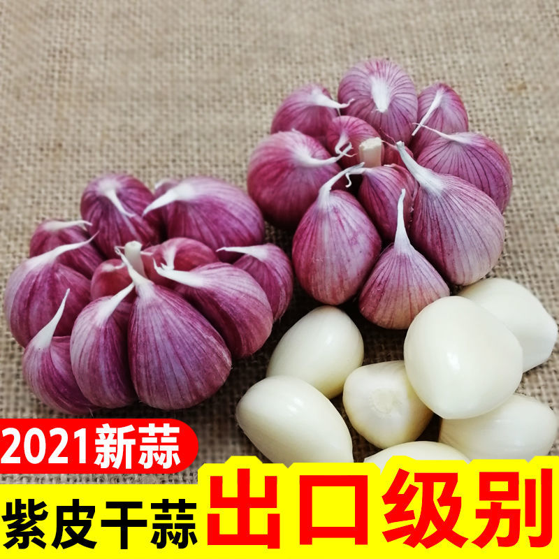 大蒜批发价干蒜2021云南紫皮新鲜干蒜头红皮多瓣蒜种香蒜1/5/10斤
