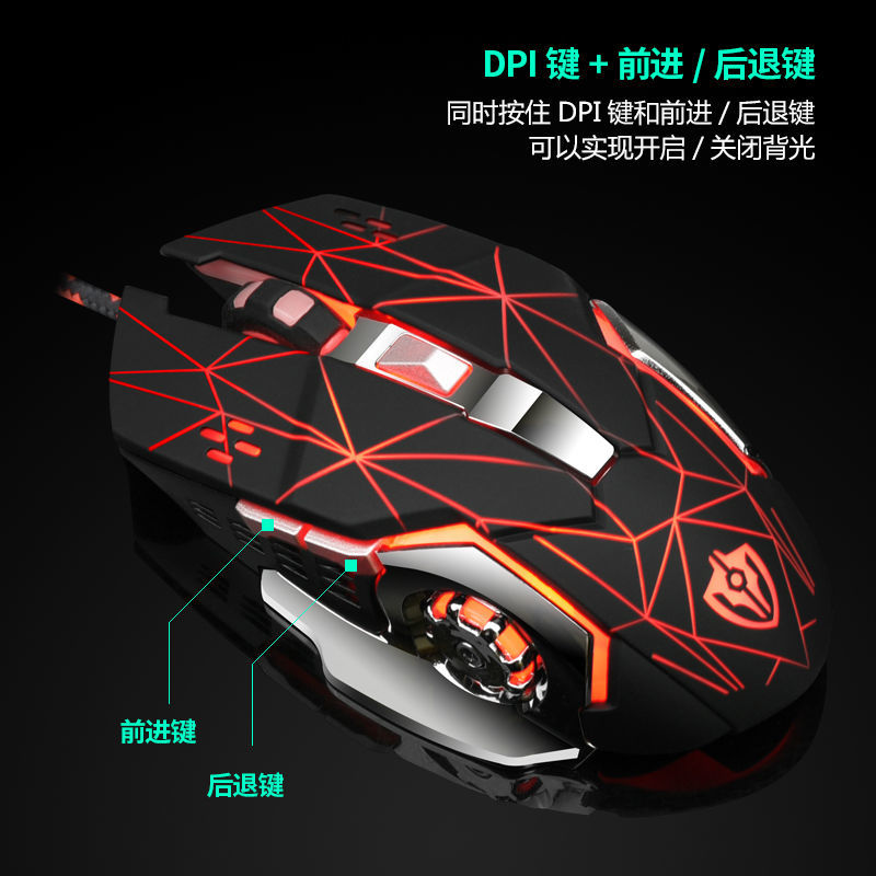 Product Image Gallery