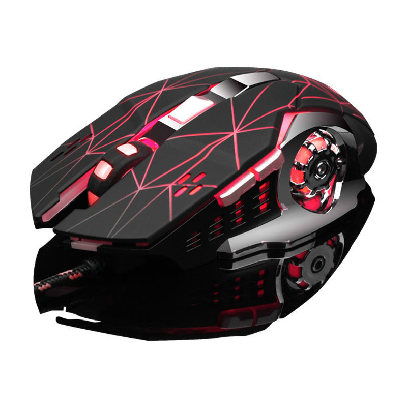 Product Image Gallery