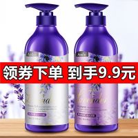 薰衣草沐浴露持久留香洗发水套装香氛去屑清洁滋润男女通用家庭装