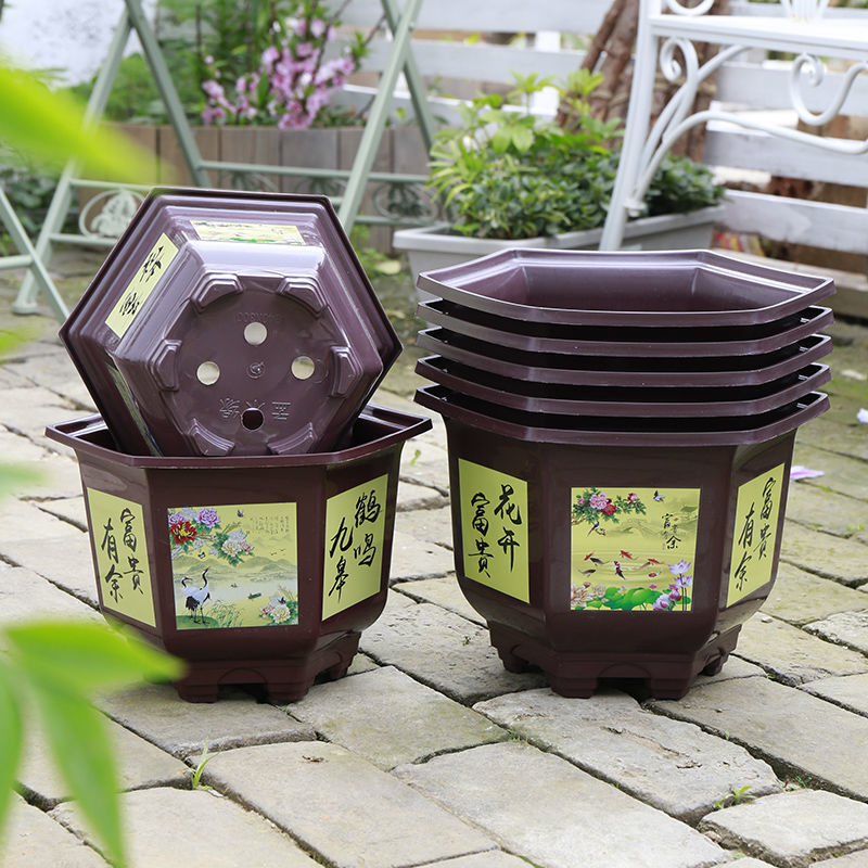 Thick Hexagonal Plastic Flower Pot Large Special Clearance Green Plant Fruit Tree Chinese Rose the Gentleman Orchid Potted Wholesale Free Shipping