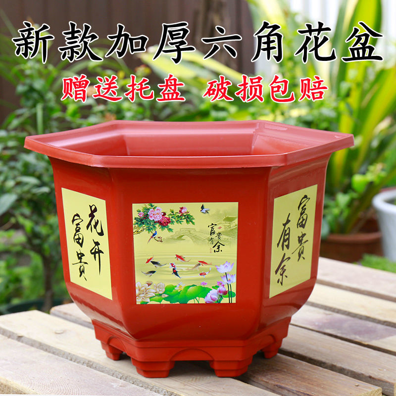 Thick Hexagonal Plastic Flower Pot Large Special Clearance Green Plant Fruit Tree Chinese Rose the Gentleman Orchid Potted Wholesale Free Shipping