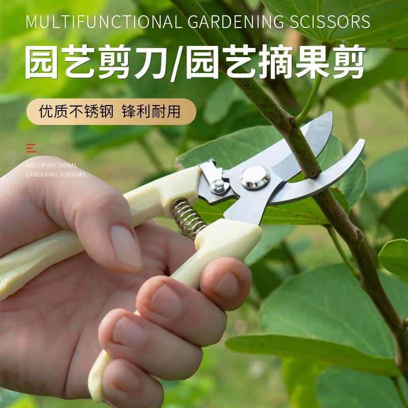 household fruit tree scissors pruning artifact scissors flower fruit picking scissors branch scissors green grafting garden gardening scissors