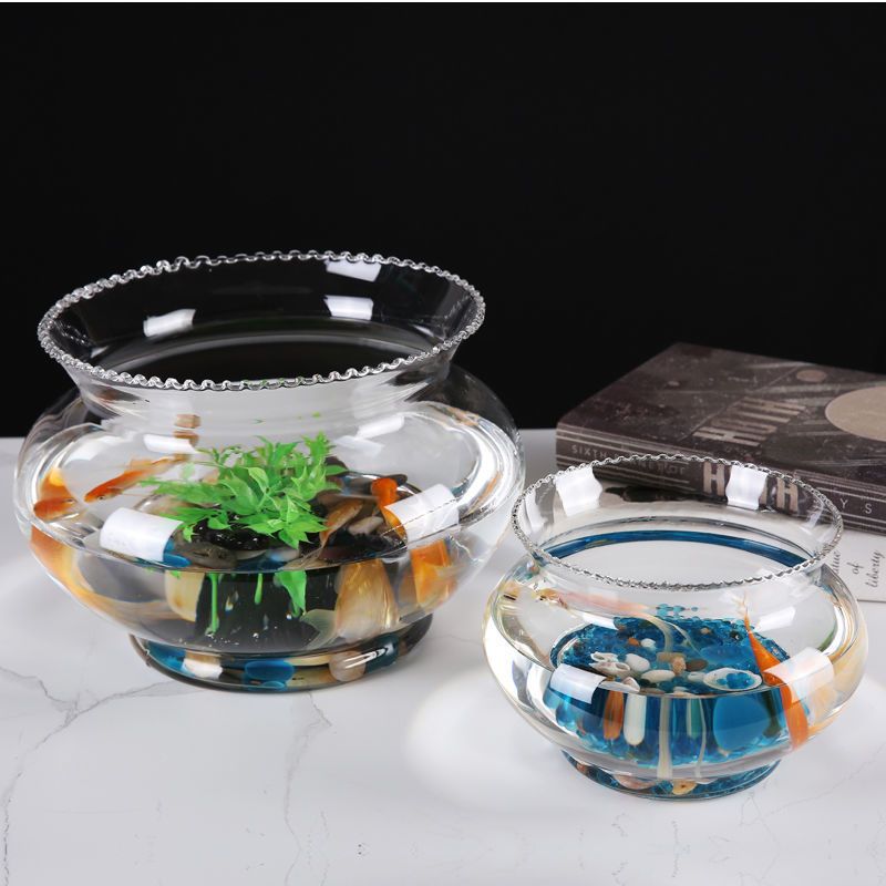 transparent glass fish tank small household lace fish globe turtle jar ecological hydroponics green plant desktop aquarium ornaments