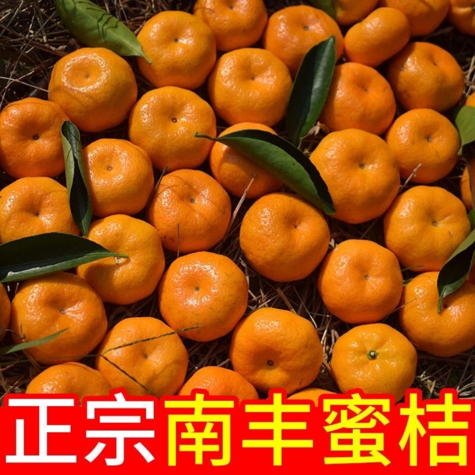 南丰砂糖小蜜桔2斤新鲜应当季小橘子水果薄皮桔子皇帝贡柑5包邮