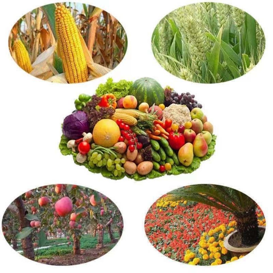 Urea Nitrogen Fertilizer Organic Fertilizer NPK Fertilizer Particles Chemical Fertilizer Planting Vegetables Planting Flowers Vegetables Fruit Trees Flowers Special Fertilizer