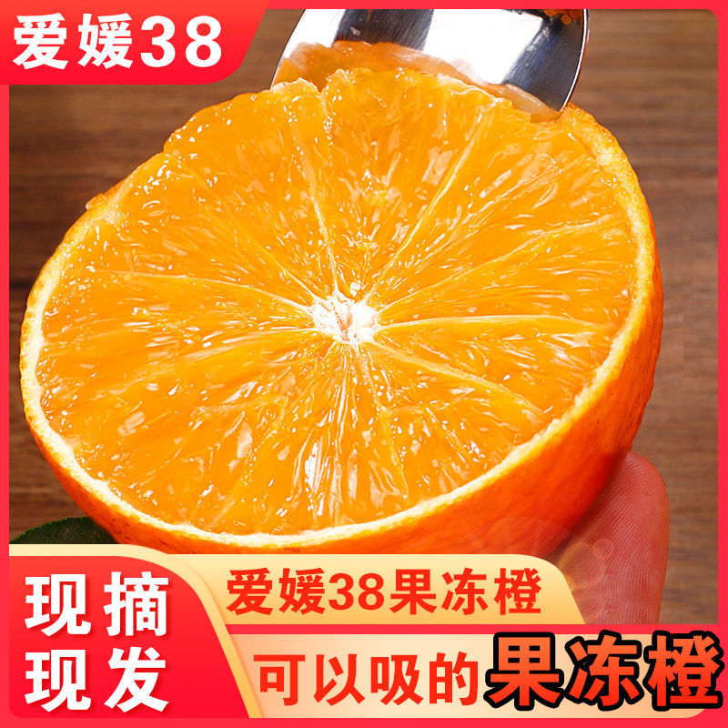 爱媛38果冻橙子水果新鲜应季超甜水果橘子非脐橙皇帝柑夏橙冰糖橙