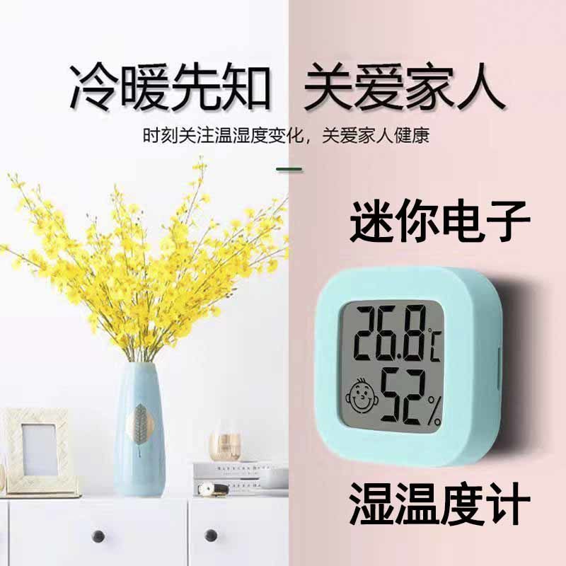 electronic indoor temperature moisture meter high precision household baby room thermometer wall-mounted wet and dry display detection instrument