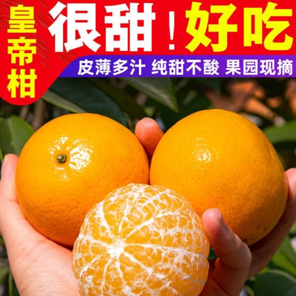 90券后价广西正宗沃柑纯甜乌甘黑皮沃柑橘子帝王柑丑柑澳柑粑粑柑批发