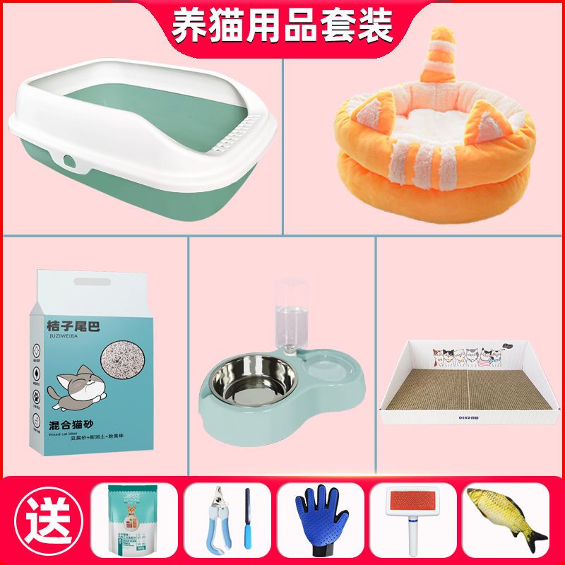 litter box oversized  supplies full set novice  raising should buy kittens  bowl  toilet  raising set