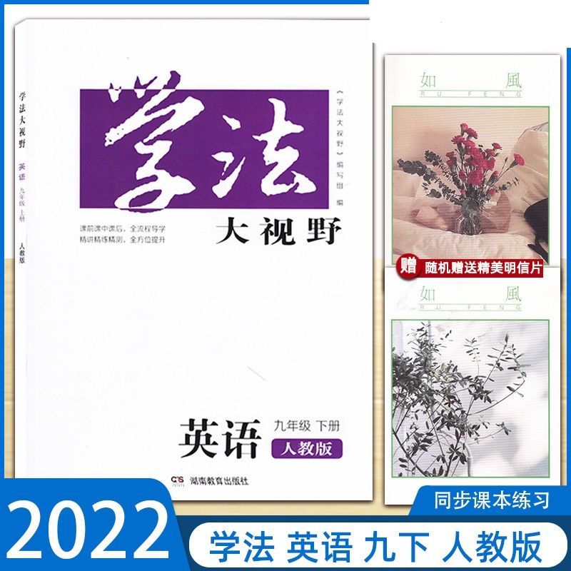 2022新版九年级下册英语学法大视野人教版初三九下英语学法大视野-图1