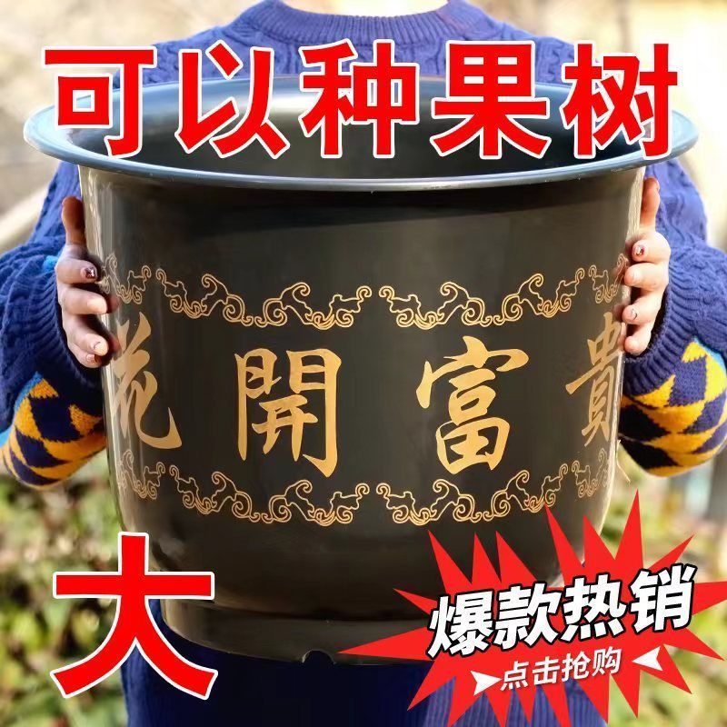 [Free Tray] Thickened Plastic Flowerpot Wholesale Large Flower Pot Ceramic Flowerpot Large Flowerpot Collection Special Clearance