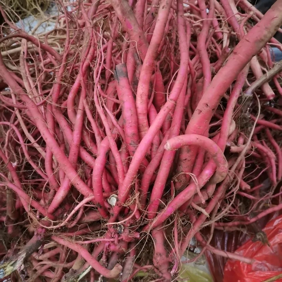 贵州新鲜野生红牛膝根 中药材红土牛膝草药红牛克膝红牛磕膝500克【10