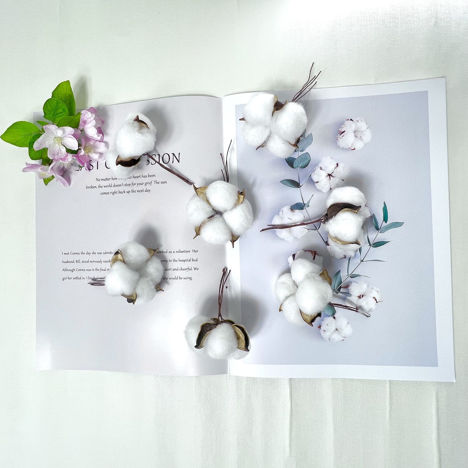 Ins White Cotton Tip Flower Preserved Fresh Flower Photo Shooting Photography Prop Decoration Cake Ornamental Branch Dried Branch Diy Accessories